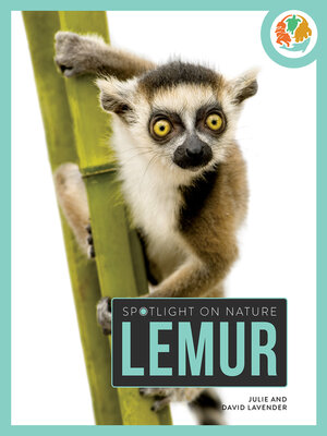 cover image of Lemur